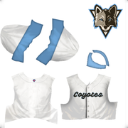 jerseys-Denver-Coyotes-1994