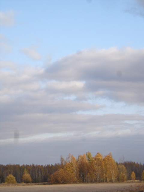 DSC01423.jpg