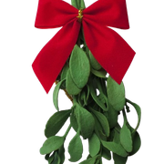 mistletoe-removebg-preview