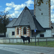 IMG-3407