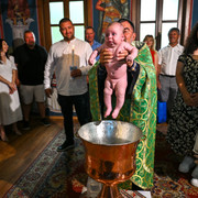Pic 130