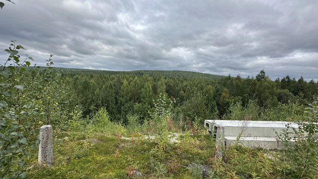IMG 5828.jpg