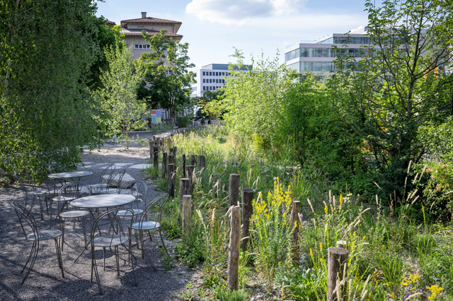 Bild3