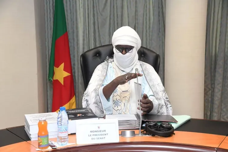 Illustration - Au Cameroun, une rumeur d'attentat sur les réseaux oblige le Sénat à sortir un communiqué