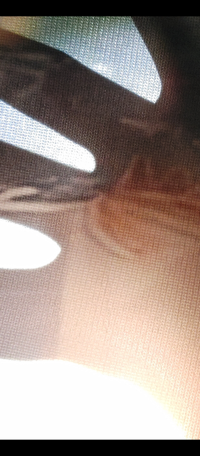 Screenshot-20241023-084307