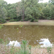 Picture 057