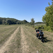 IMG-6543