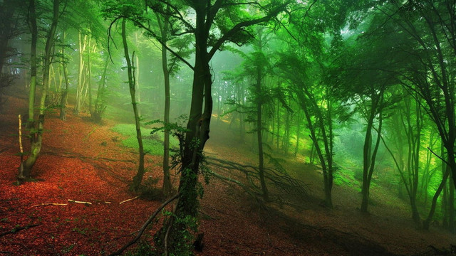 wallpaperbetter-com-1920x1080erer