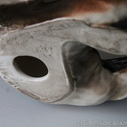 IMG-3388