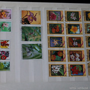 IMG-9594