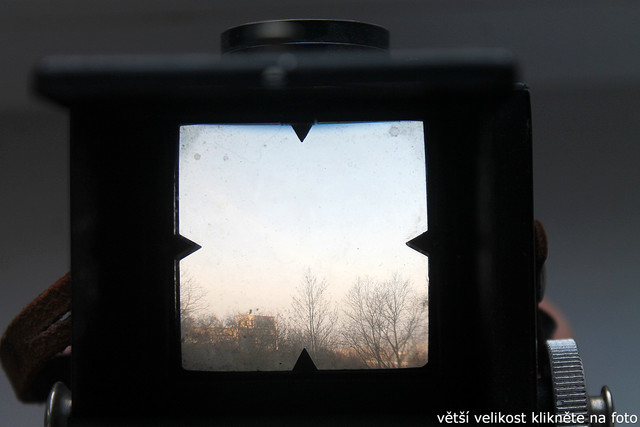 IMG-1597.jpg
