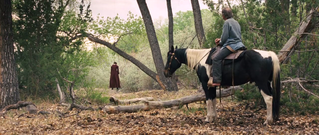 The Homesman Screenshot