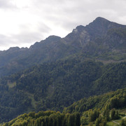 DSC7181