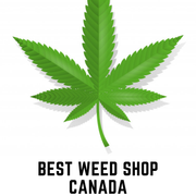Best-Weed-Shop-Canada-4