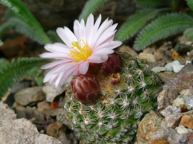 P1230297