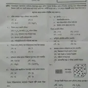 raj-chem-1