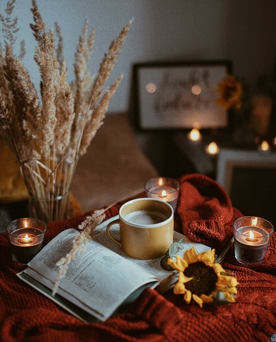 tumblr-8a81e75f03853100b2ae5c417cad15f1-81e66bd5-540