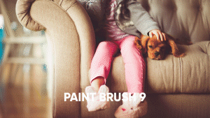 paintbrush-9