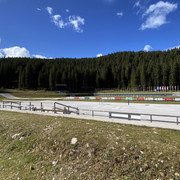 IMG-3375