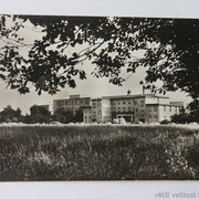 IMG-6393