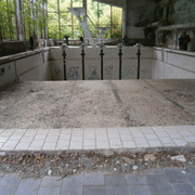 OLYMPUS-DIGITAL-CAMERA
