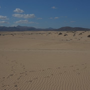 DSCF8526