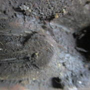 IMG-0119
