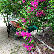 IMG-0622