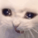 https://i.ibb.co/w7CLXNx/01.gif
