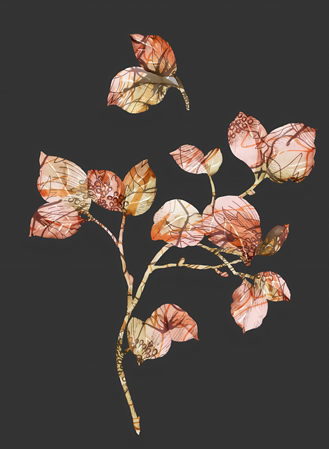 7501e83297b8b73d177a019bc6dc9a7b.png