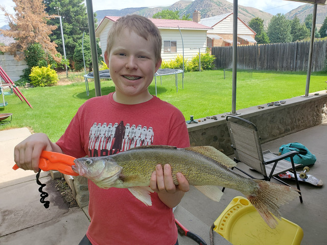 walleye-2