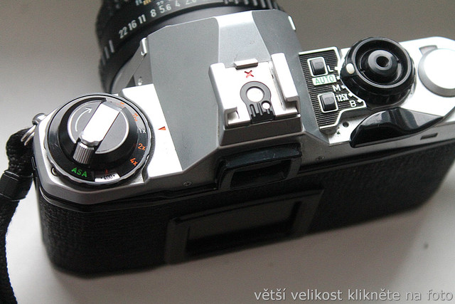 IMG-1901