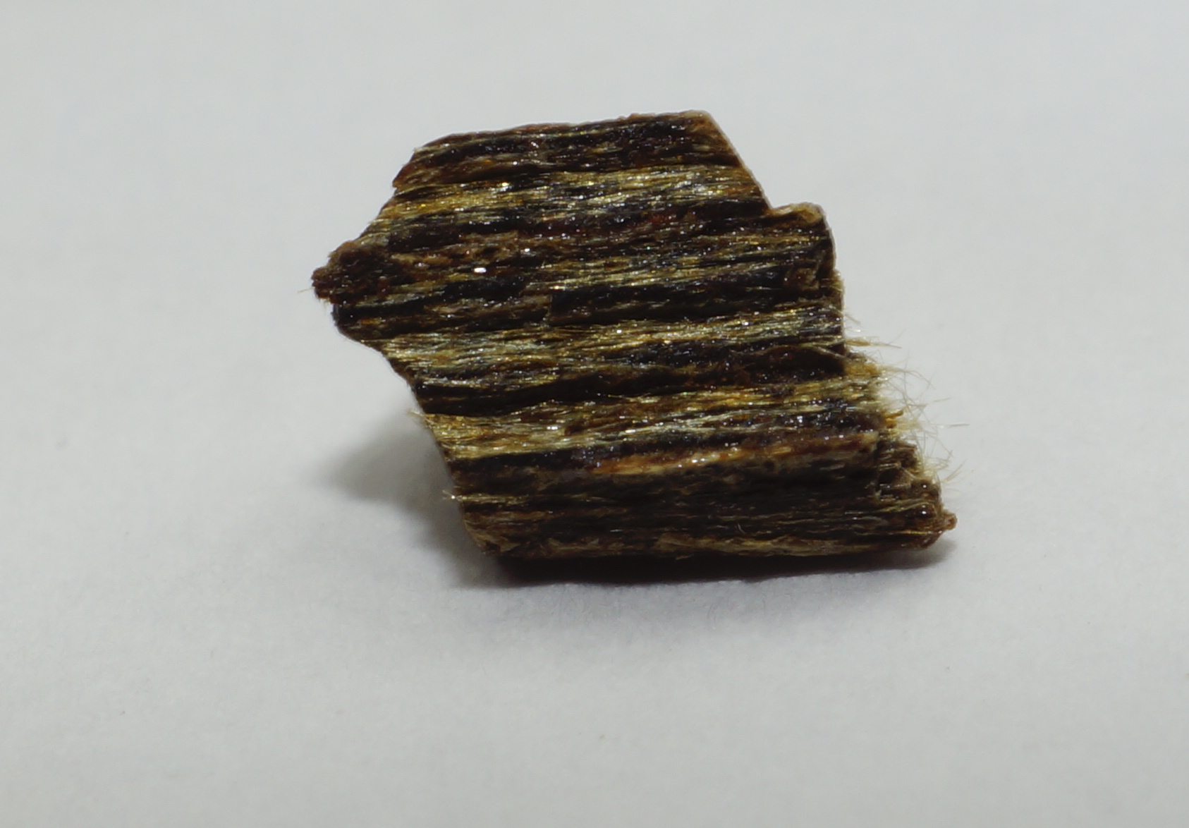 [Ouddict.com] Oud Photos