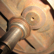 IMG-8342