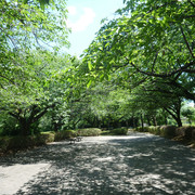 P1330967