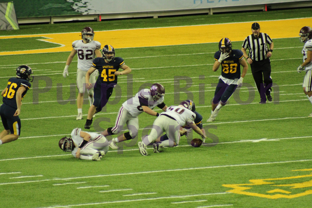 IMG-8345.png