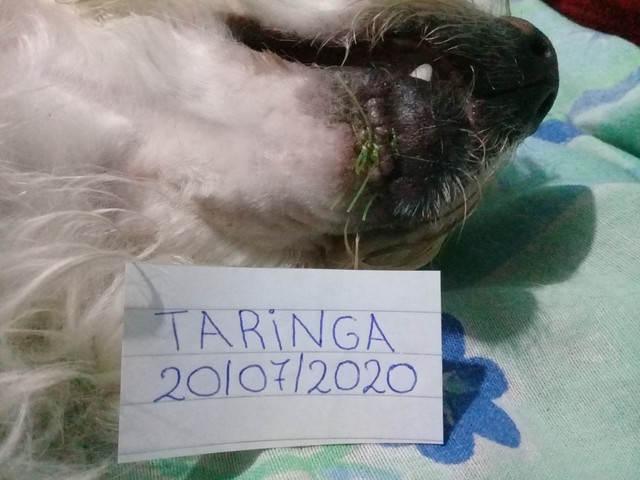 20200720-192744