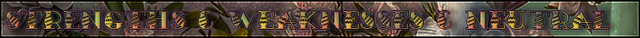 Spring-annals-headers-s-and-w-and-n.png