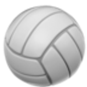 volleyball-1f3d0