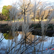 2008-01-03-101