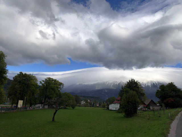 IMG-9937.jpg