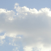 DSC5253