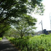 P1350298