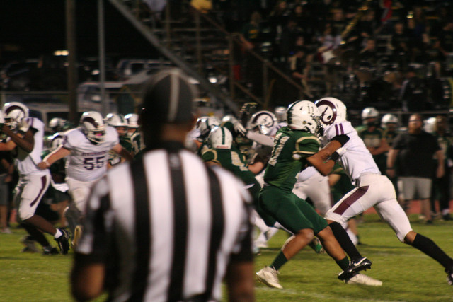 IMG-6471.jpg