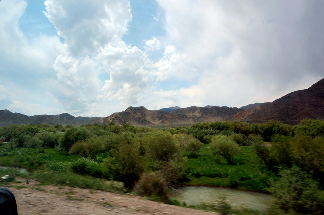 DSC01182.jpg