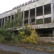 OLYMPUS-DIGITAL-CAMERA