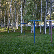 R0013256 2