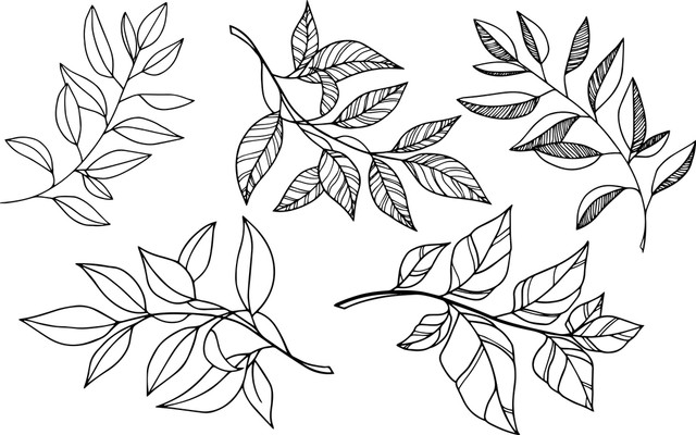 4f5270f227.jpg