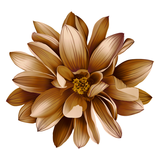 dc0b1e8568ae0a517a781d3e080ede62.png