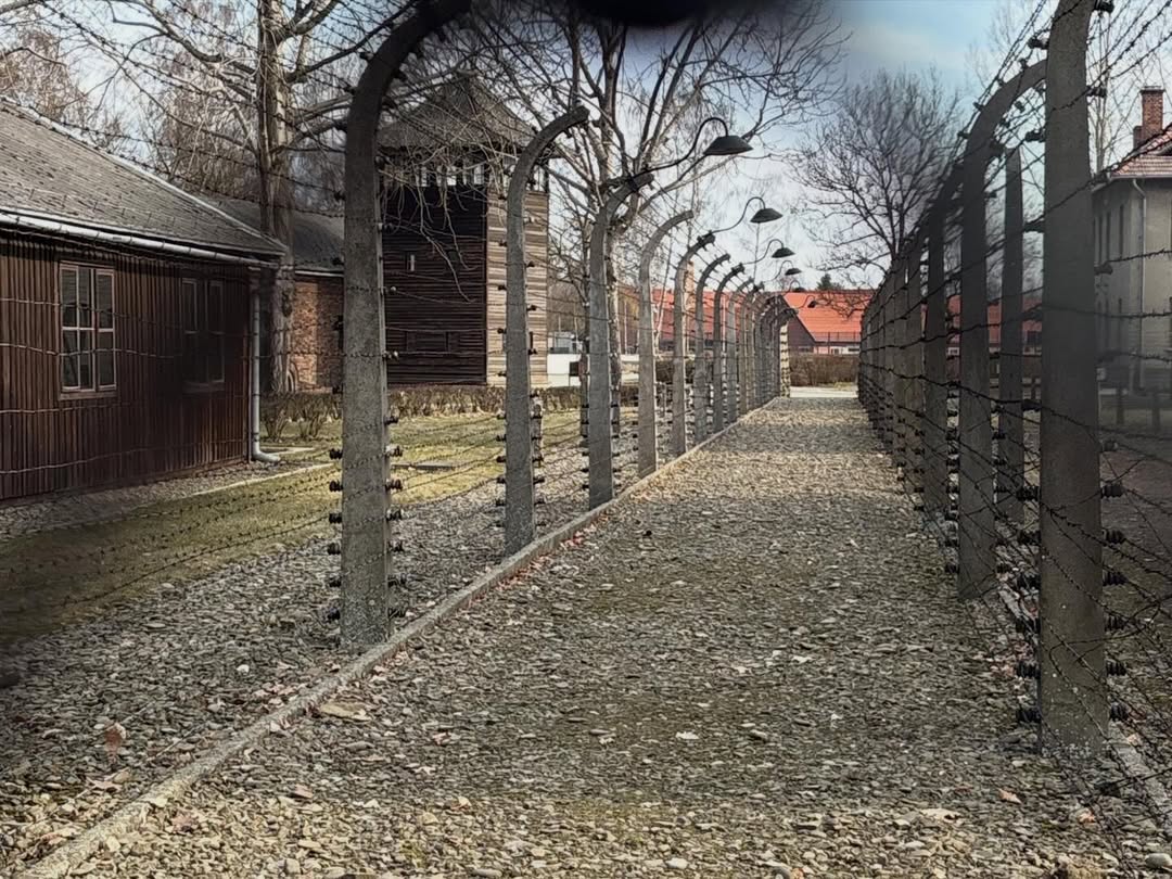Auschwitz intérieur